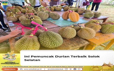 Focus Group Discussion (FGD) Penyusunan Publikasi Solsel dalam angka Tahun 2023