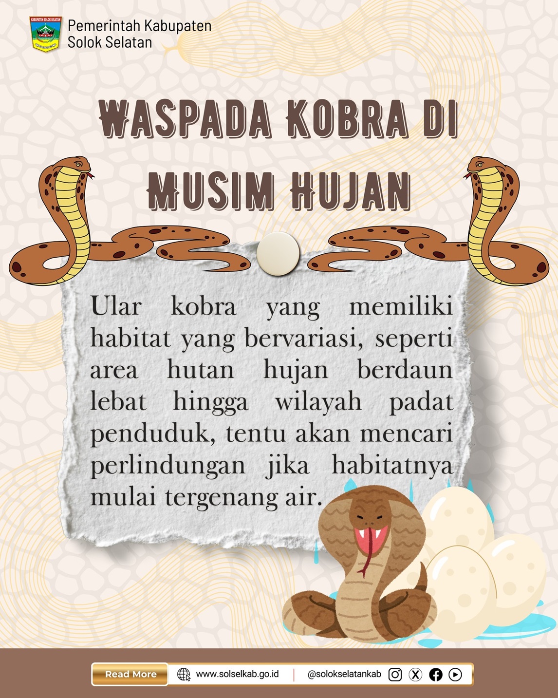 WASPADA KOBRA DIMUSIM HUJAN